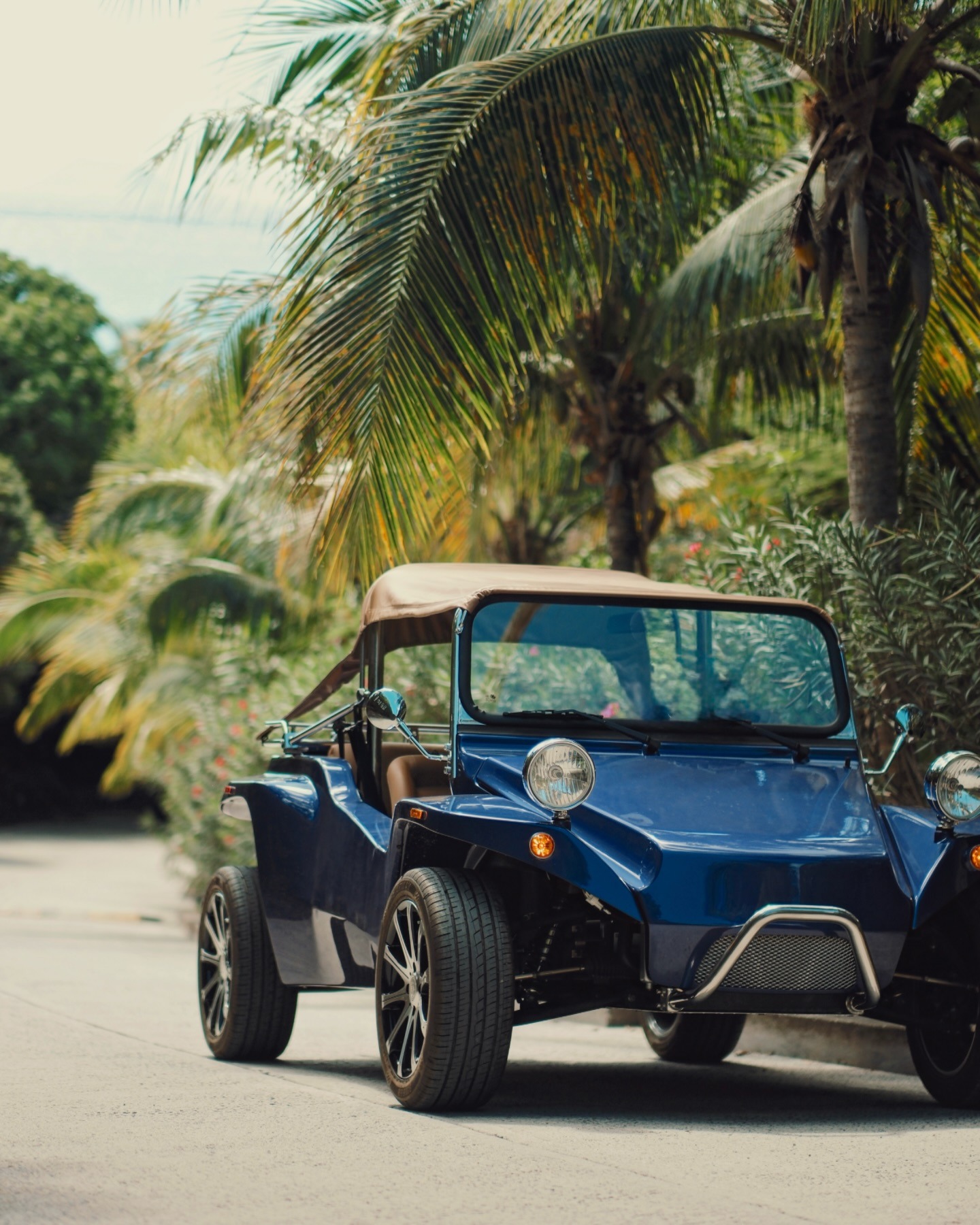 Midnight blue Oreion Beach Buggy beneath tropical palms