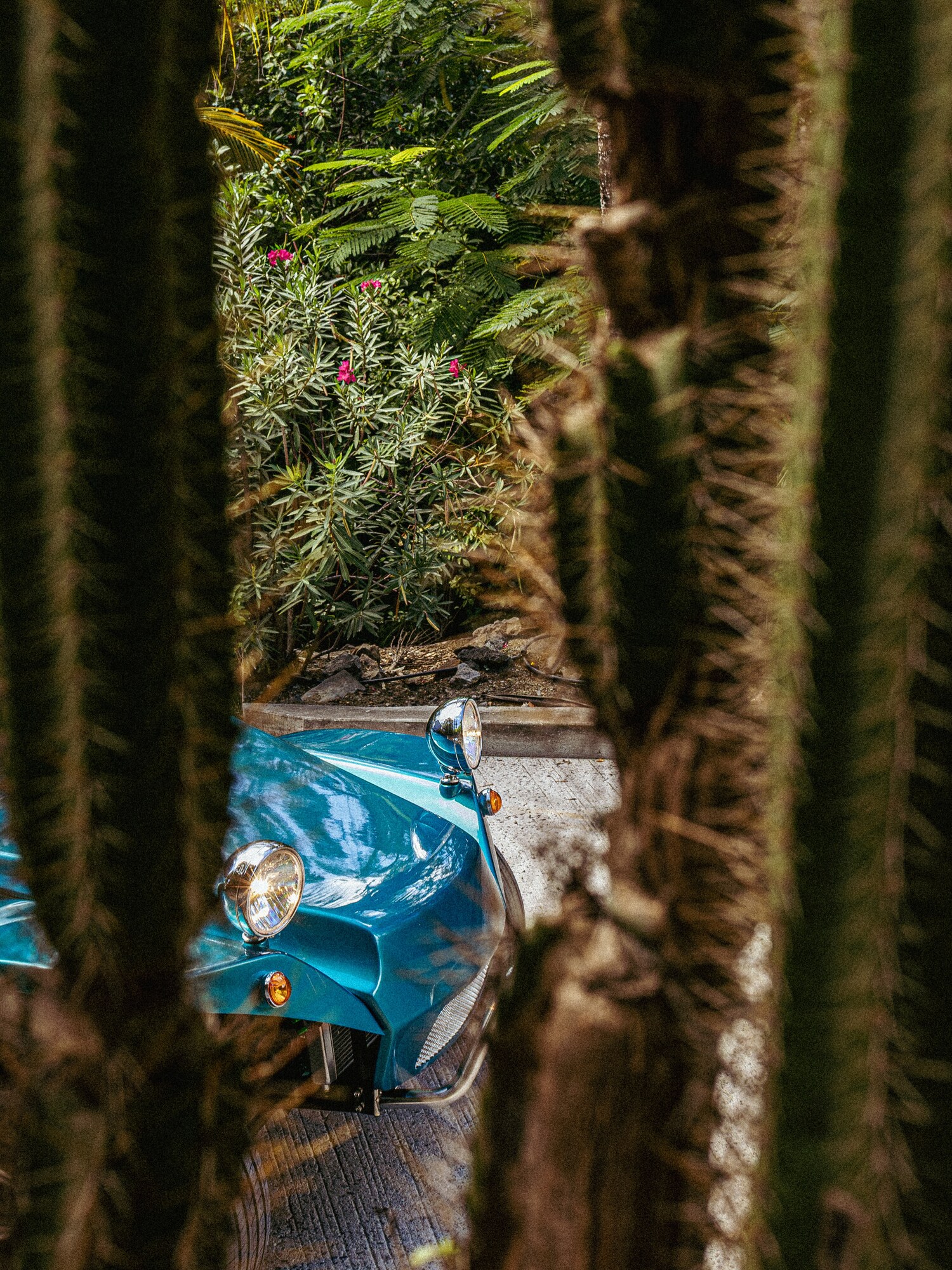 Blue Oreion Buggy photographed through tropical palms